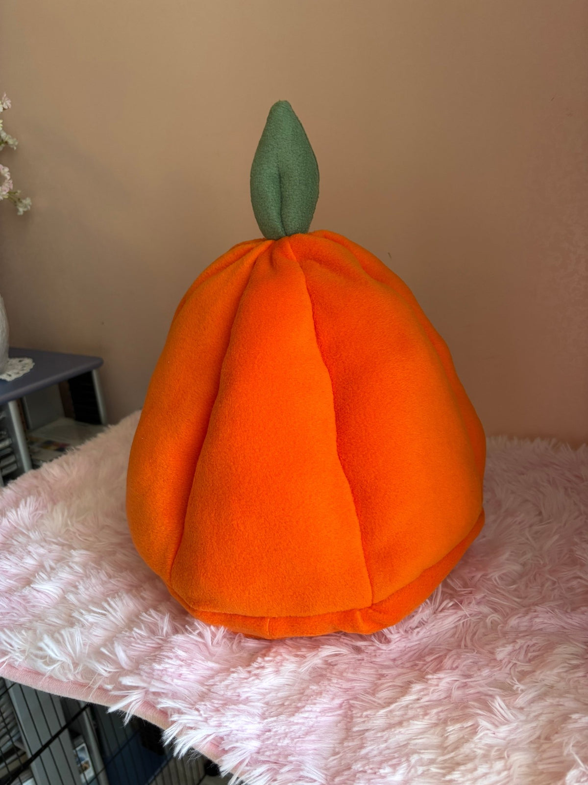 Cuccia Zucca 🎃 per piccoli animali furetti cincillà petauri dello zucchero suricata ratti gattini topolini ricci porcellini d'india