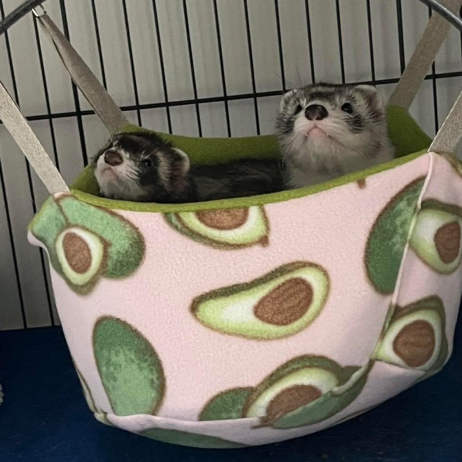 Amaca a Cesta Sospesa per piccoli roditori furetti cincillà suricata petauri dello zucchero ratti 