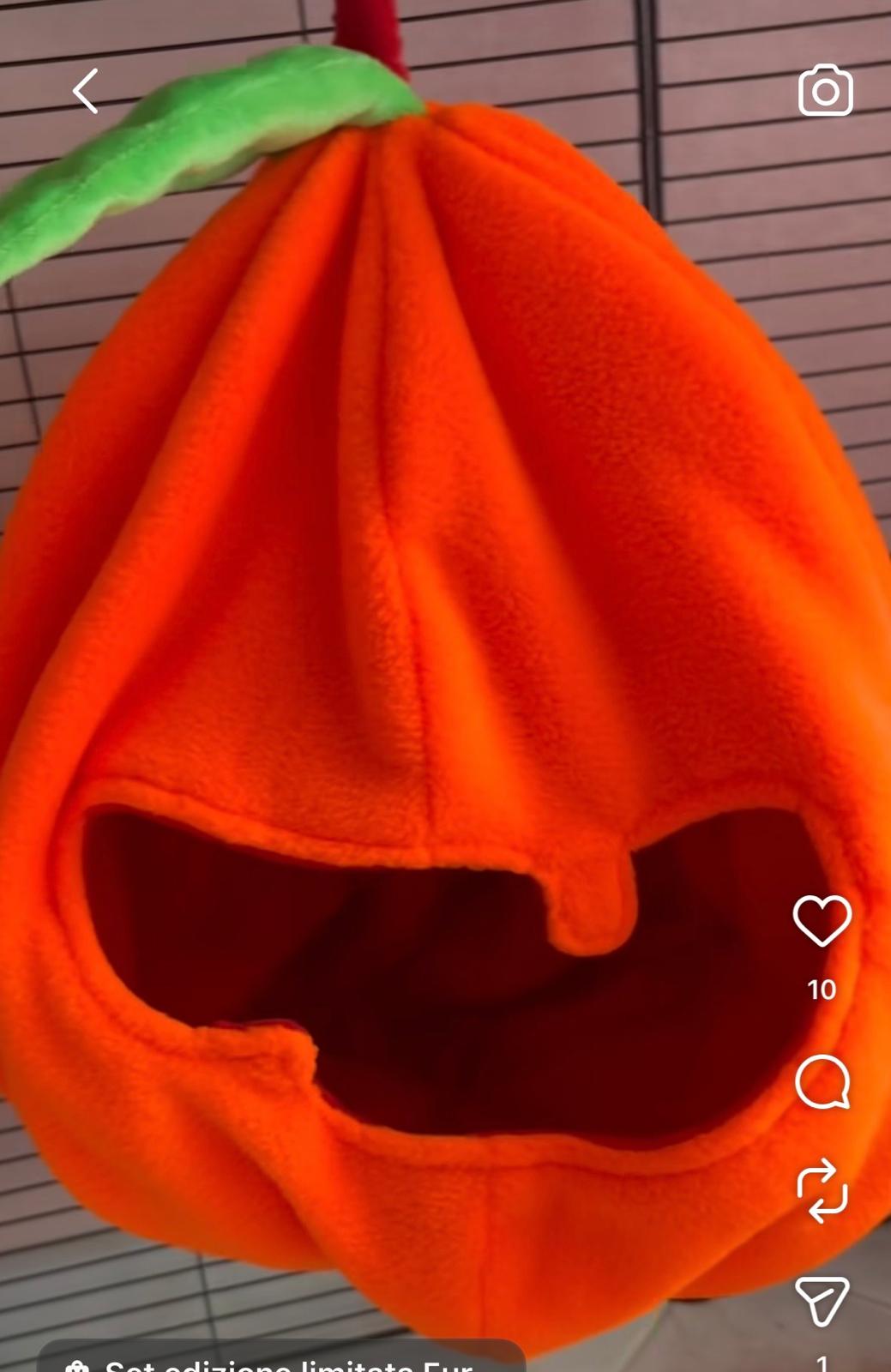 Set edición limitada Hurones y Suricatas - Halloween 🎃🍂👻
