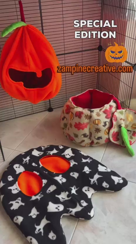 Set Limited edition furetti suricati e piccoli animali esotici roditori edizione limitata tema zucca halloween